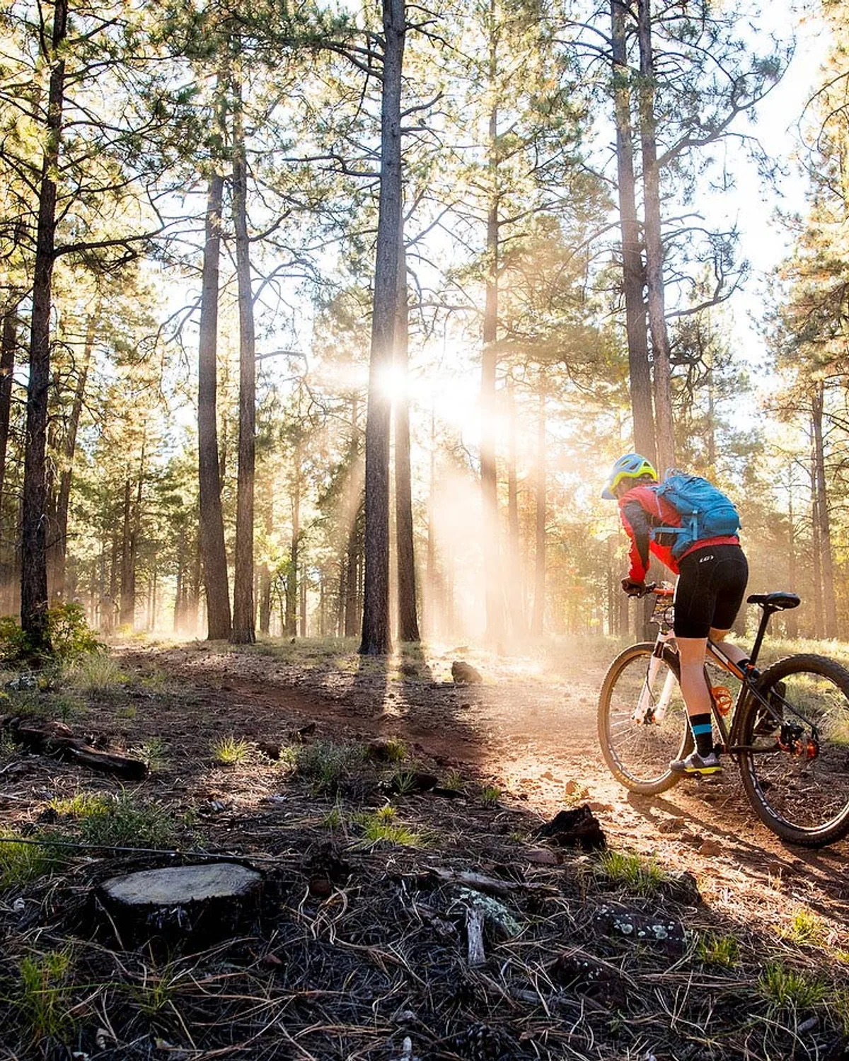 Biking in the White Mountains
