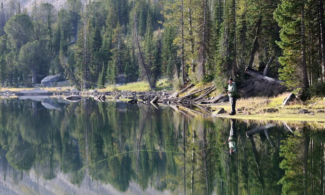 Fishing in the White Mountains