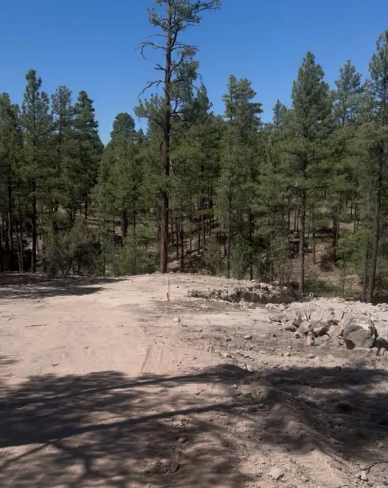 Silverleaf Hideaway under construction